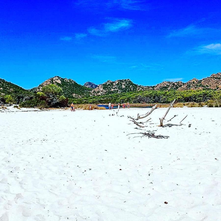 Pineta sul mare S'Ena e Sa Chitta Villa Santa Lucia  Esterno foto